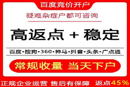 SEM推广实战：成功案例剖析